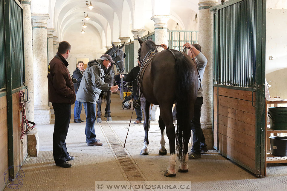 International Equestrian Congress - Horse in Sport 2017