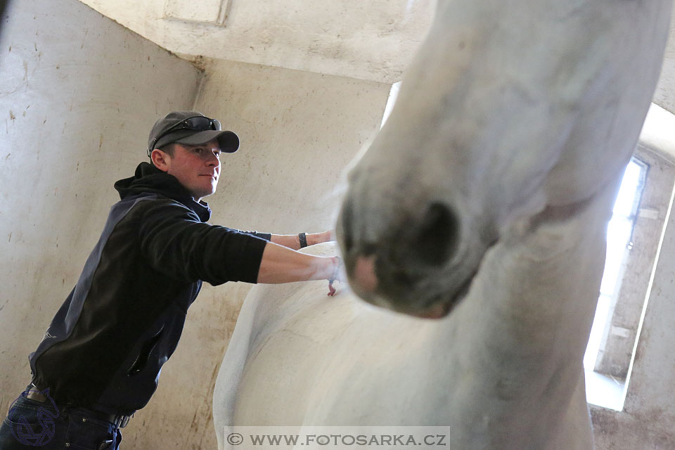 International Equestrian Congress - Horse in Sport 2017