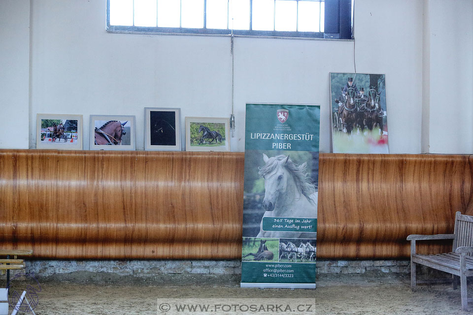 International Equestrian Congress - Horse in Sport 2017