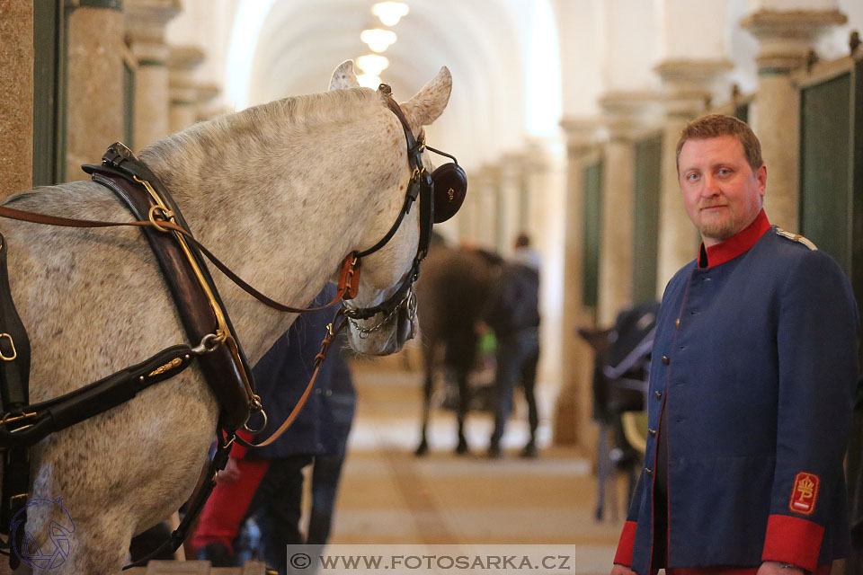 International Equestrian Congress - Horse in Sport 2017