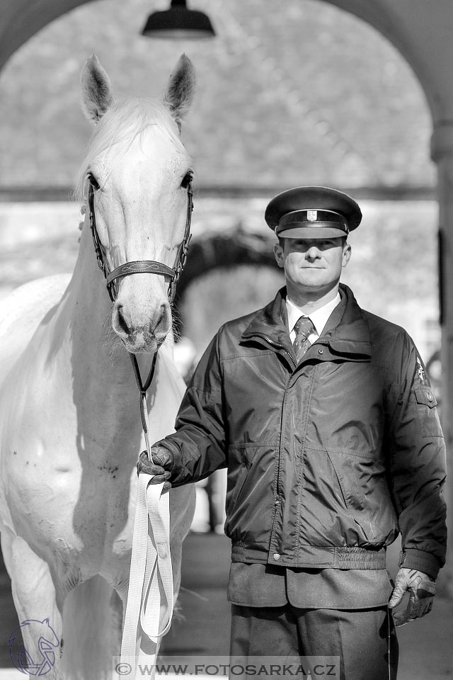 International Equestrian Congress - Horse in Sport 2017