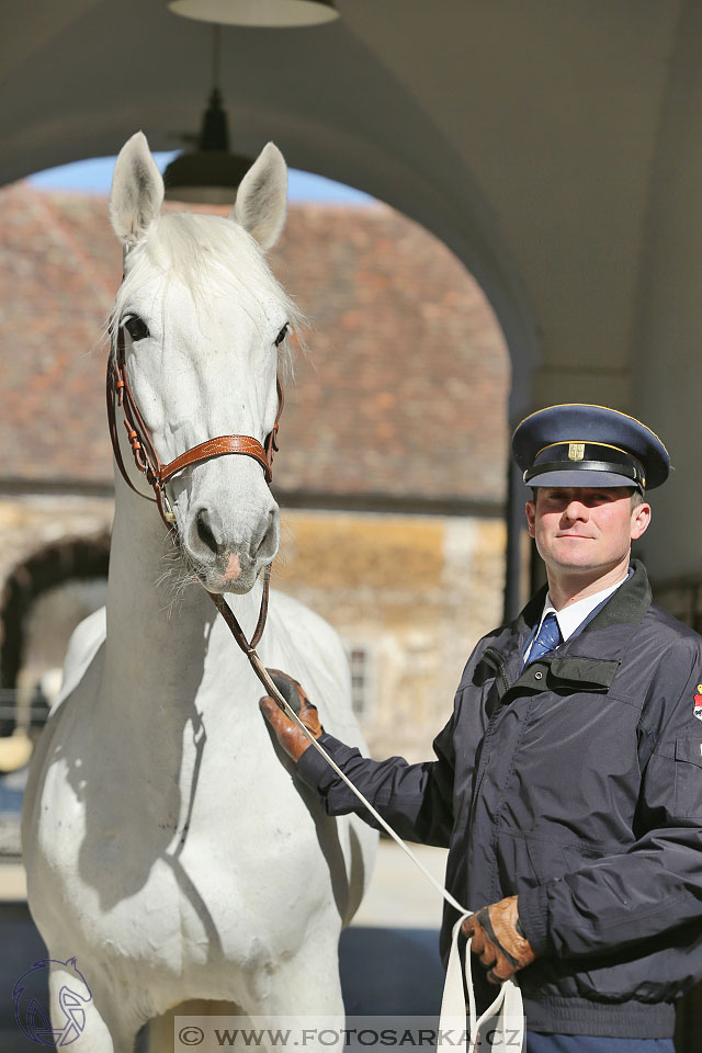 International Equestrian Congress - Horse in Sport 2017