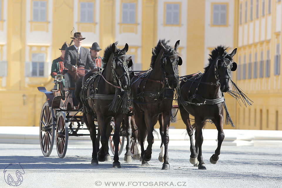 International Equestrian Congress - Horse in Sport 2017