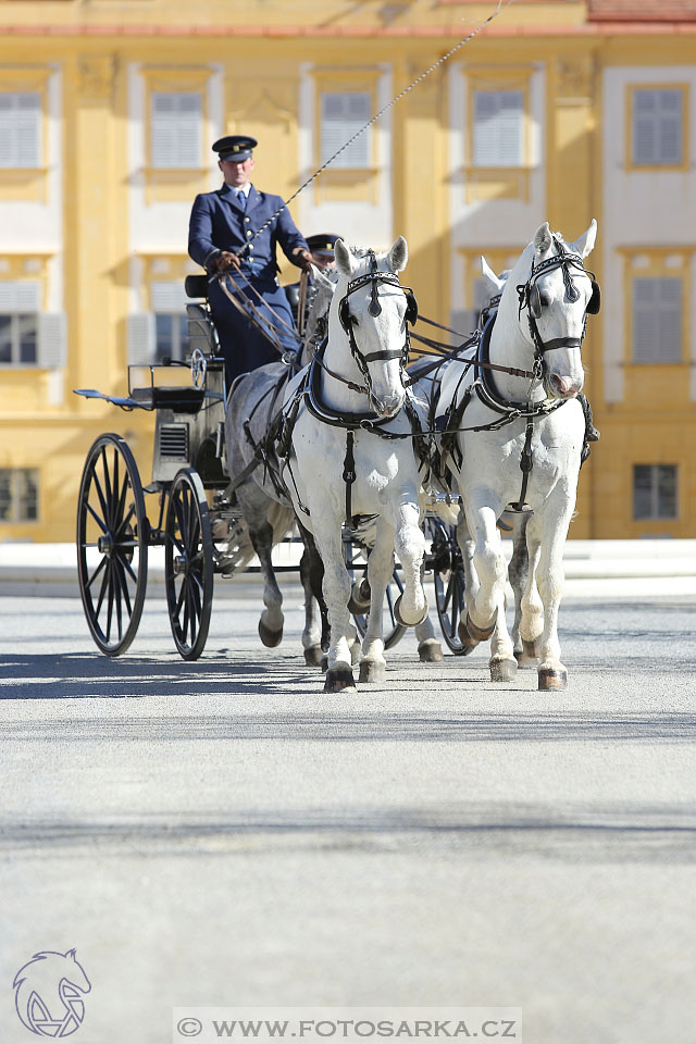 International Equestrian Congress - Horse in Sport 2017