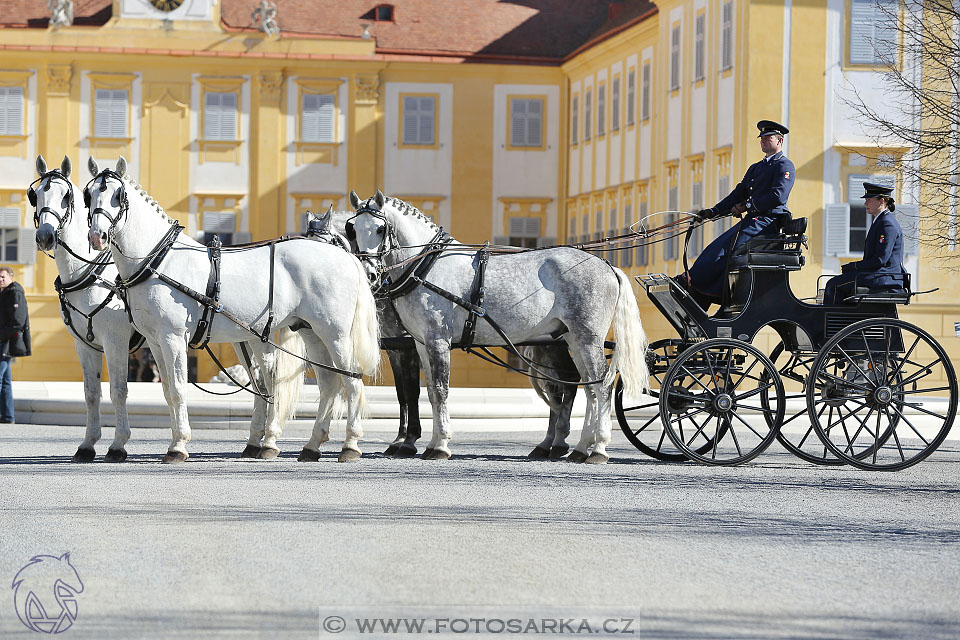 International Equestrian Congress - Horse in Sport 2017