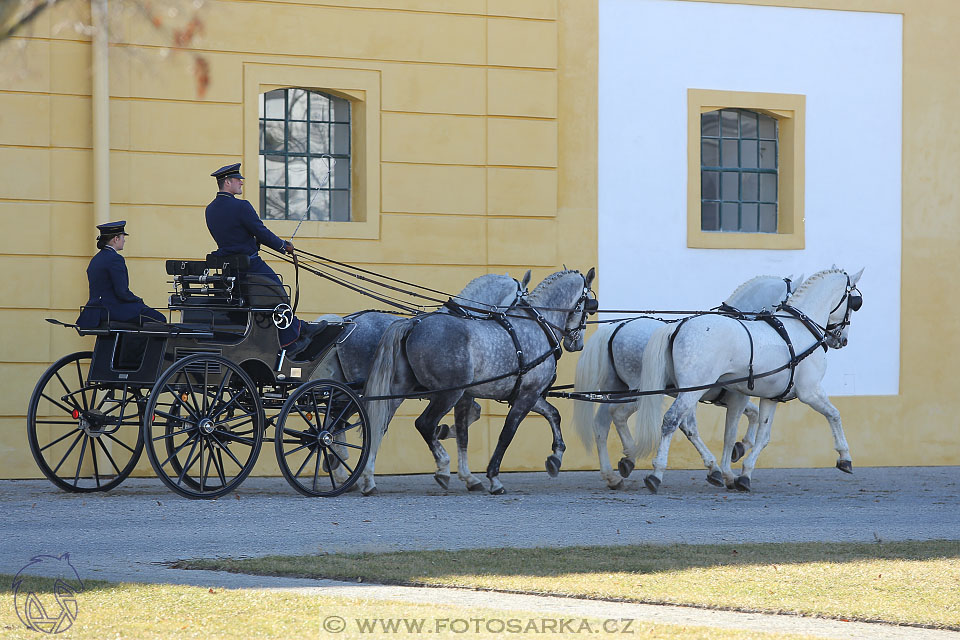 International Equestrian Congress - Horse in Sport 2017