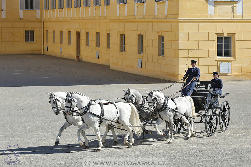 International Equestrian Congress - Horse in Sport 2017