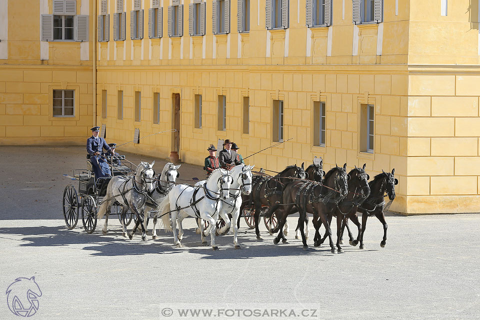 International Equestrian Congress - Horse in Sport 2017