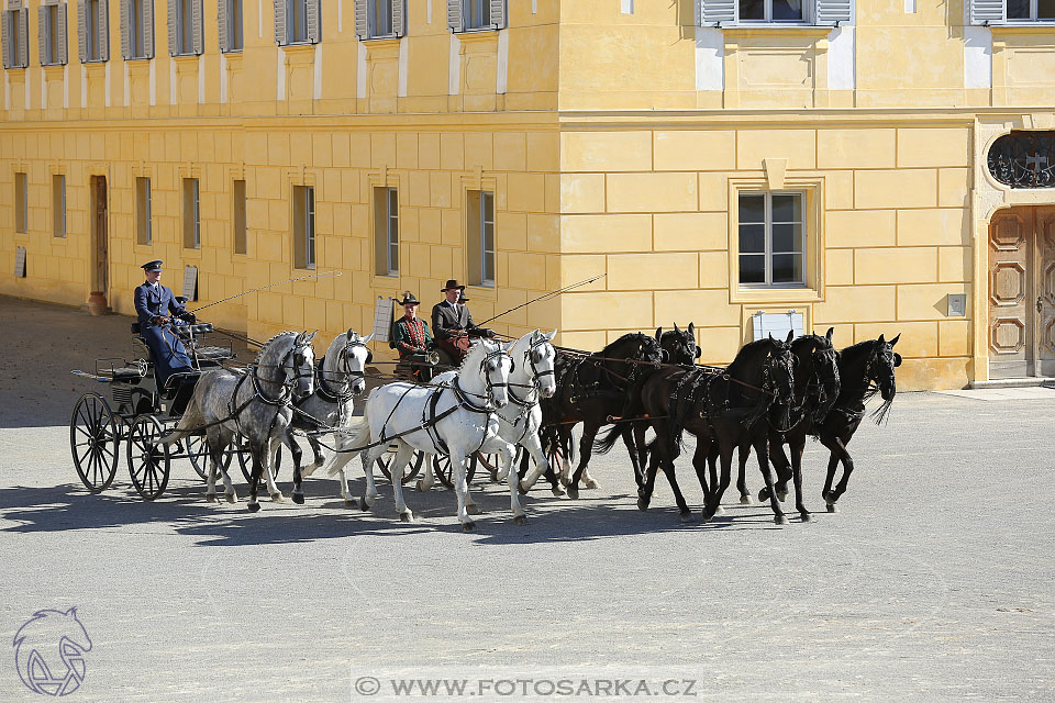 International Equestrian Congress - Horse in Sport 2017