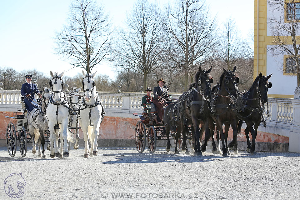 International Equestrian Congress - Horse in Sport 2017