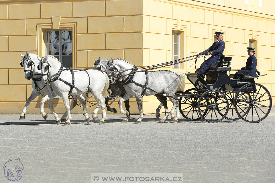 International Equestrian Congress - Horse in Sport 2017