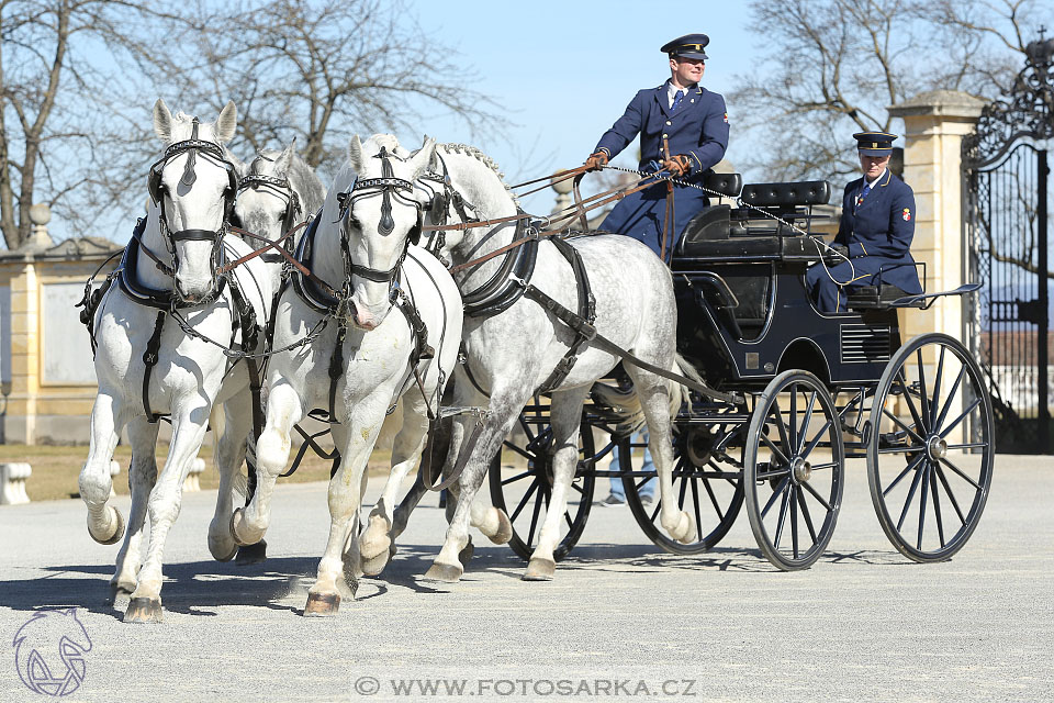 International Equestrian Congress - Horse in Sport 2017