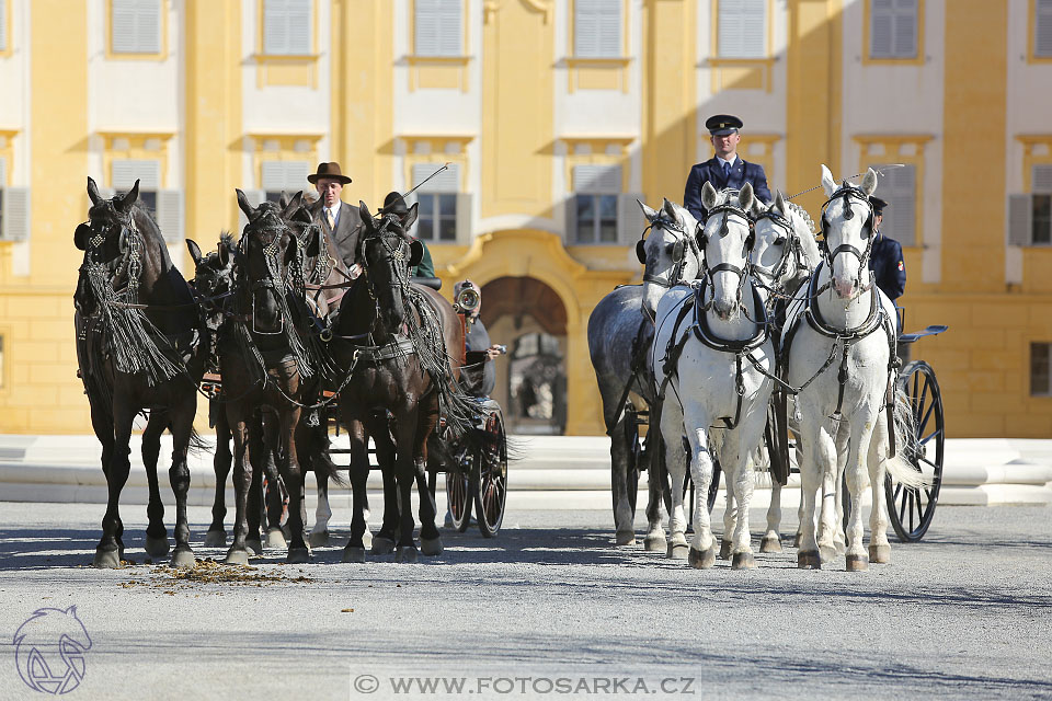 International Equestrian Congress - Horse in Sport 2017