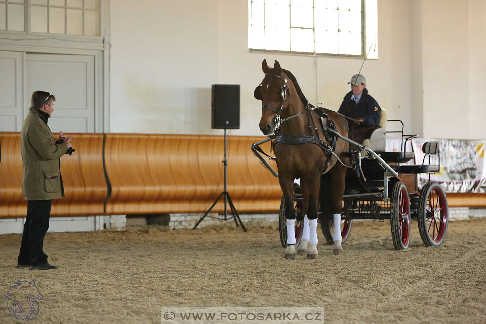 International Equestrian Congress - Horse in Sport 2017