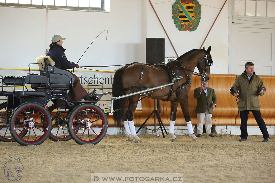 International Equestrian Congress - Horse in Sport 2017