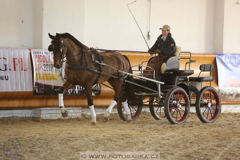 International Equestrian Congress - Horse in Sport 2017