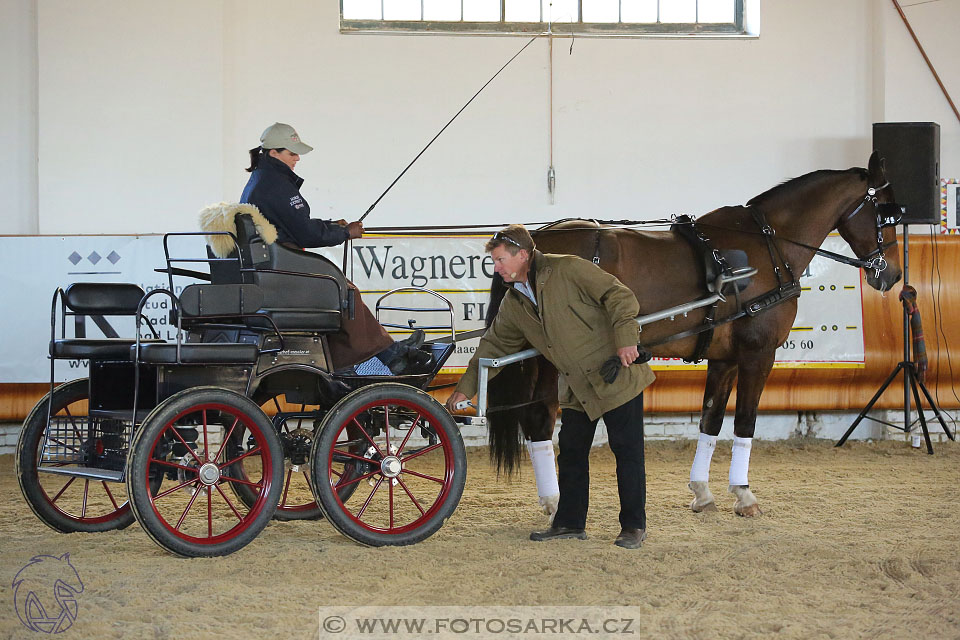 International Equestrian Congress - Horse in Sport 2017