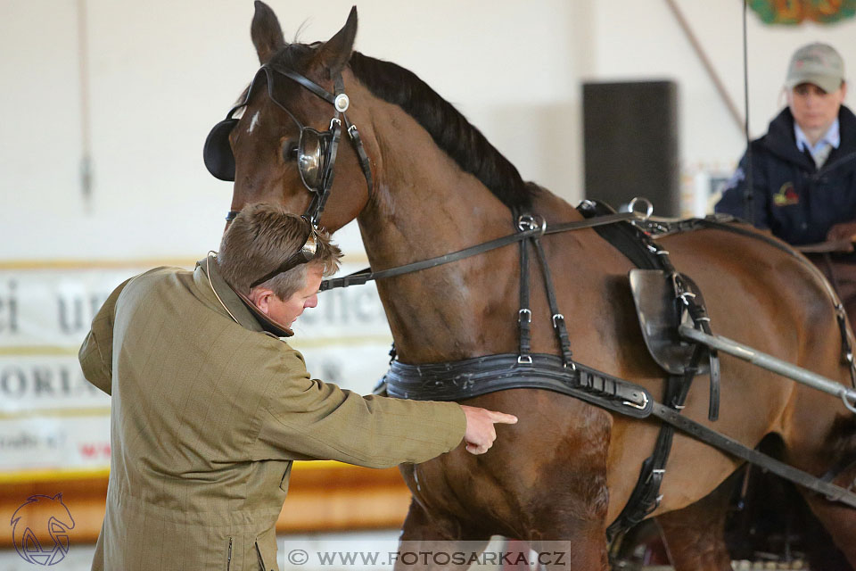 International Equestrian Congress - Horse in Sport 2017