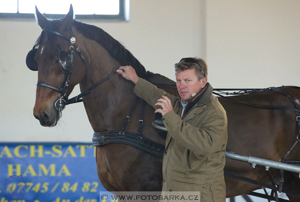 International Equestrian Congress - Horse in Sport 2017