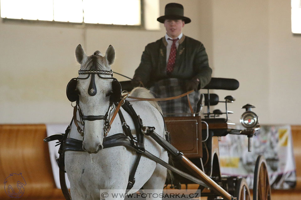 International Equestrian Congress - Horse in Sport 2017