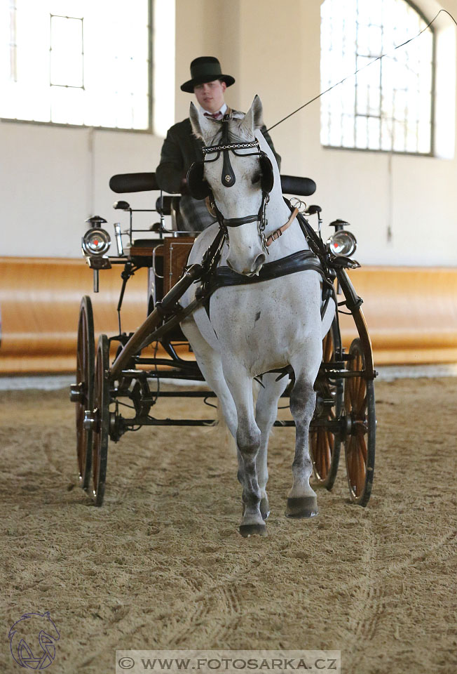 International Equestrian Congress - Horse in Sport 2017