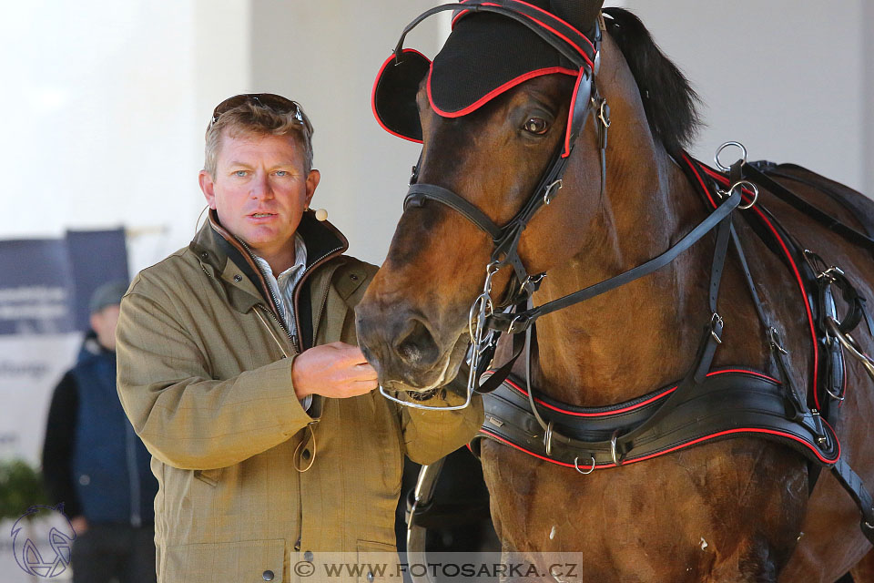 International Equestrian Congress - Horse in Sport 2017