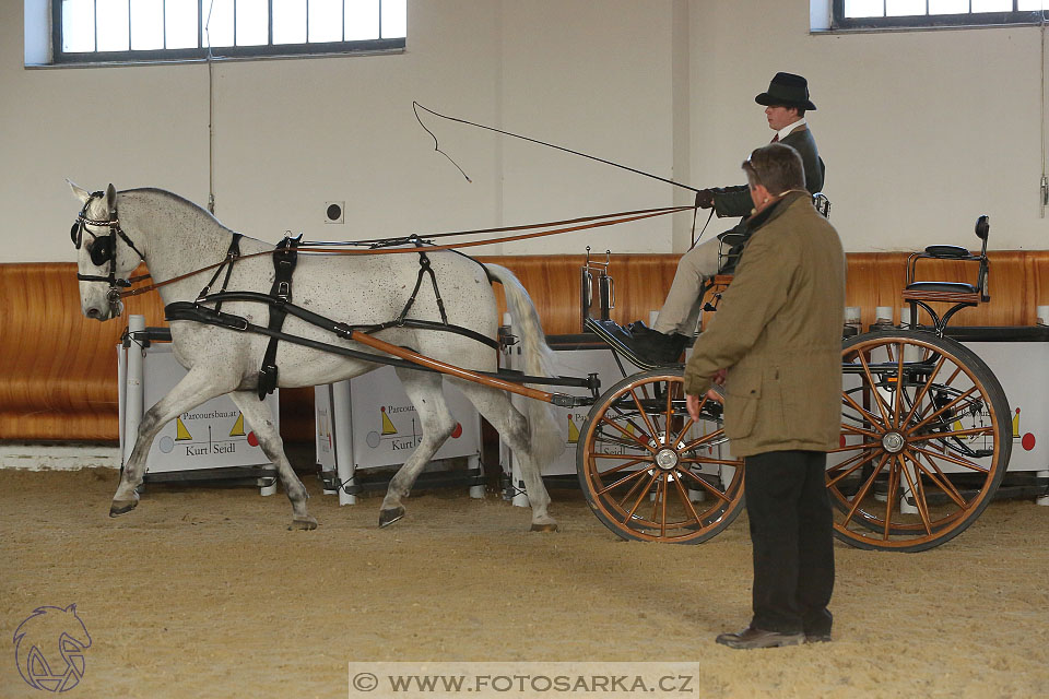 International Equestrian Congress - Horse in Sport 2017