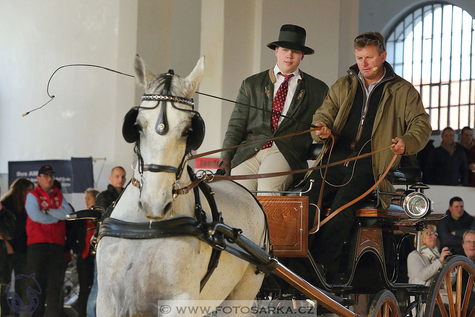 International Equestrian Congress - Horse in Sport 2017