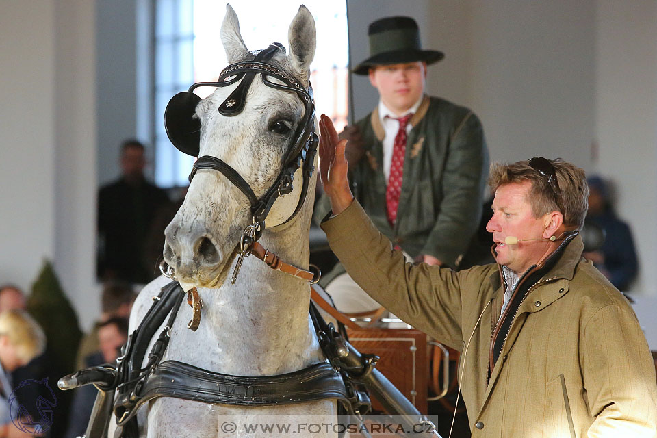 International Equestrian Congress - Horse in Sport 2017