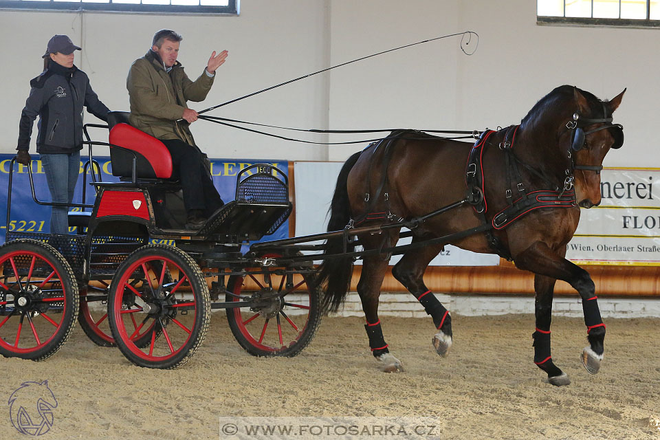 International Equestrian Congress - Horse in Sport 2017