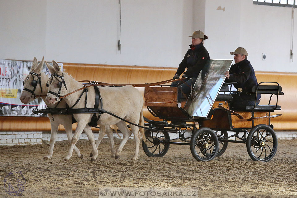 International Equestrian Congress - Horse in Sport 2017