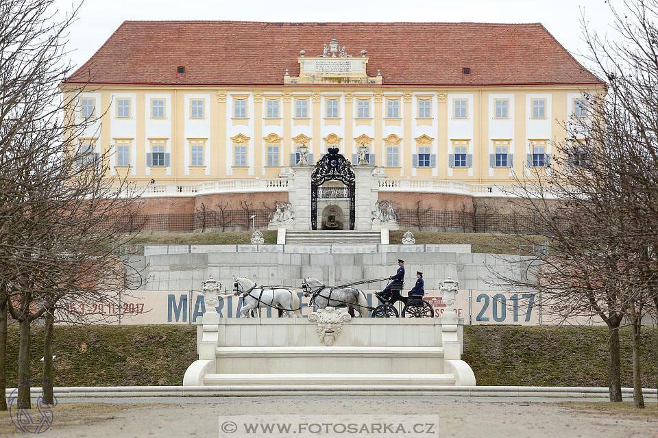 International Equestrian Congress - Horse in Sport 2017