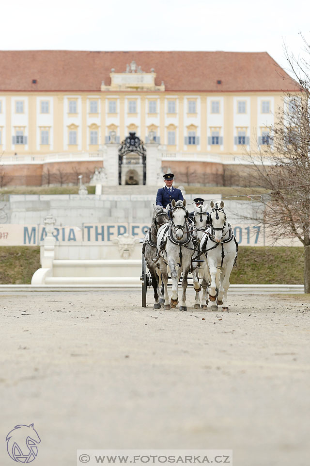 International Equestrian Congress - Horse in Sport 2017