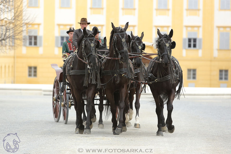 International Equestrian Congress - Horse in Sport 2017