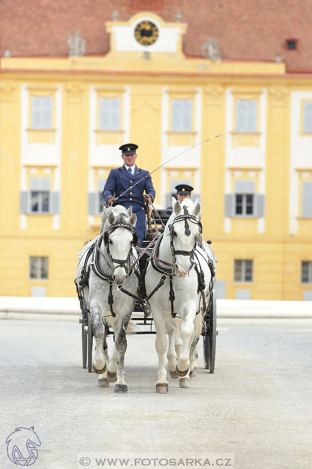 International Equestrian Congress - Horse in Sport 2017