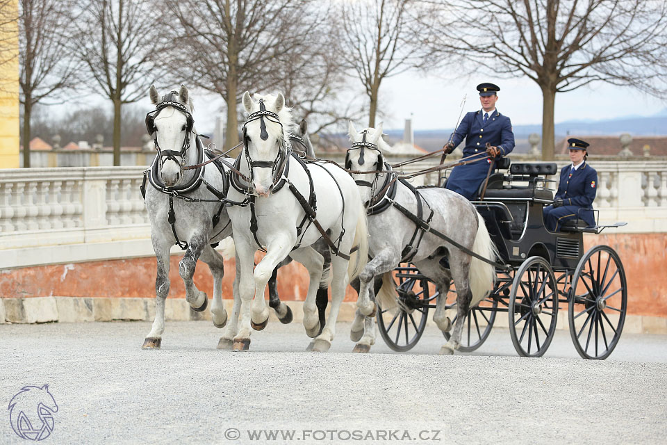 International Equestrian Congress - Horse in Sport 2017