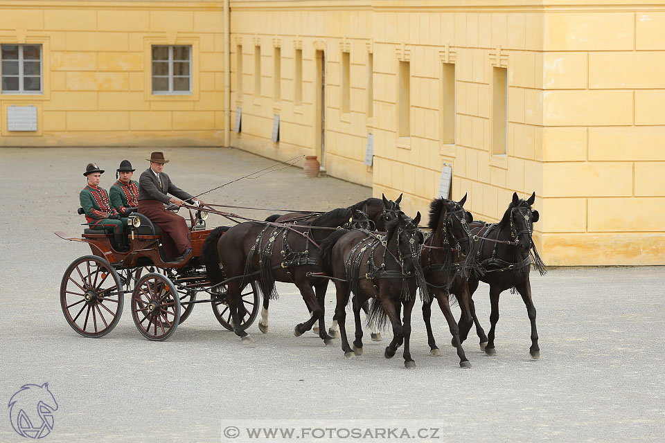 International Equestrian Congress - Horse in Sport 2017