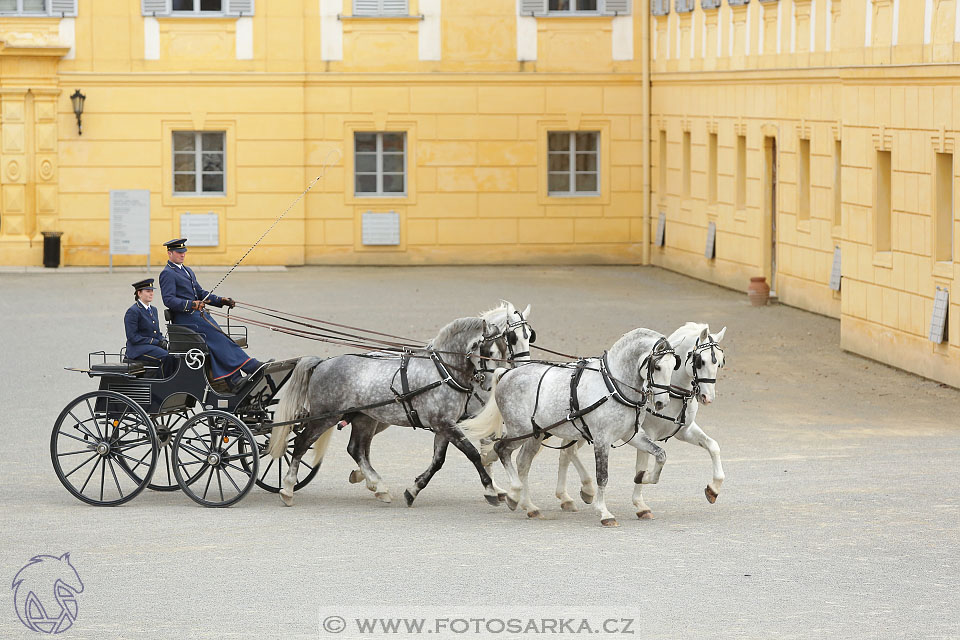 International Equestrian Congress - Horse in Sport 2017