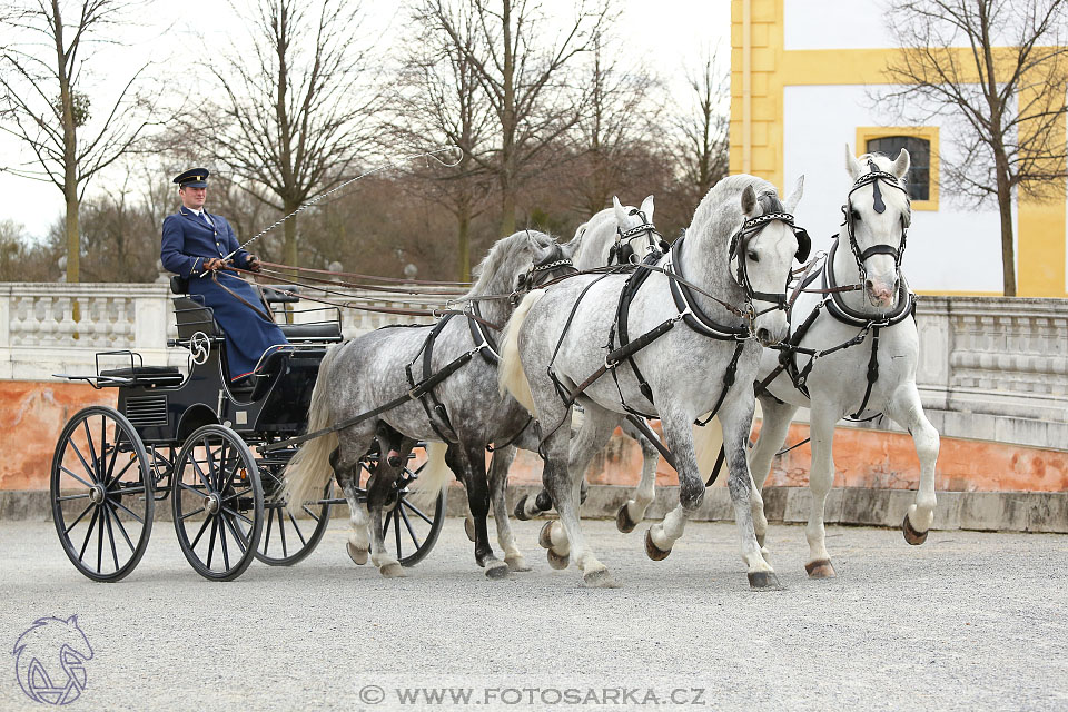 International Equestrian Congress - Horse in Sport 2017