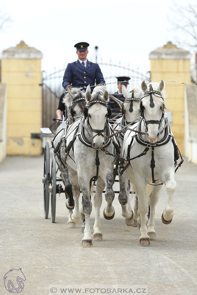 International Equestrian Congress - Horse in Sport 2017