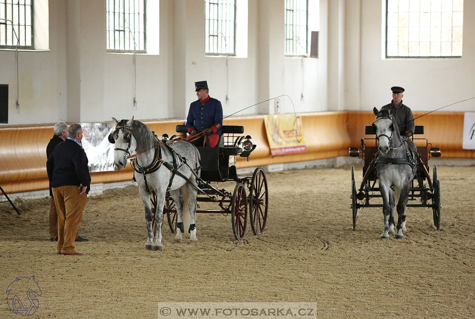 International Equestrian Congress - Horse in Sport 2017