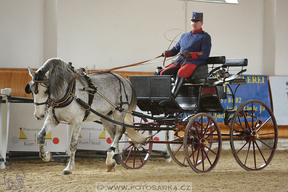 International Equestrian Congress - Horse in Sport 2017