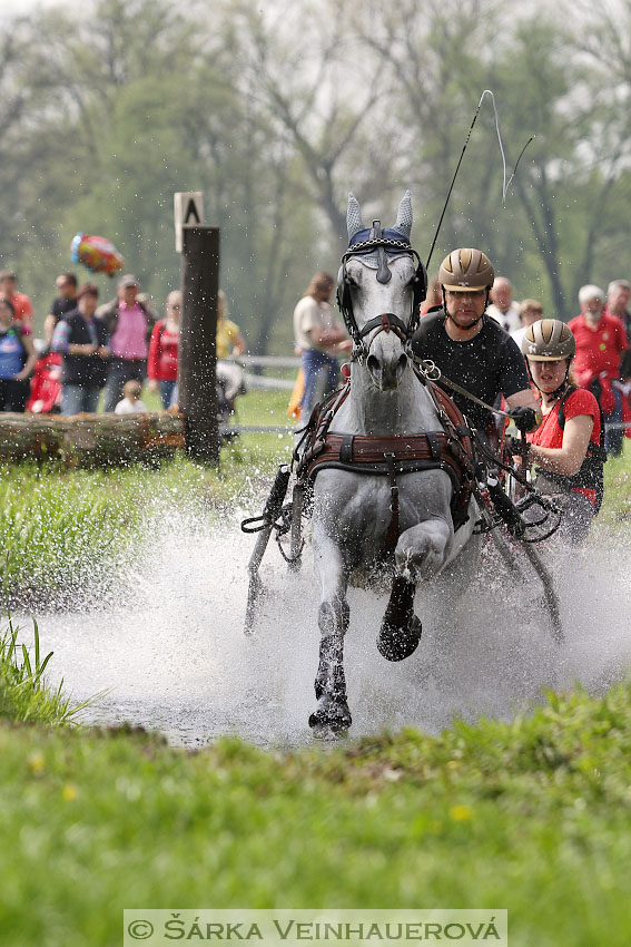 Jednospřeží