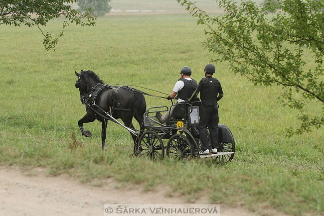 Jednospřeží