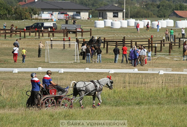 Jednospřeží v maratonu