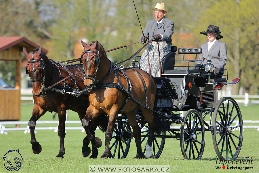 Kladruby 2018 - drezury čtvrtek