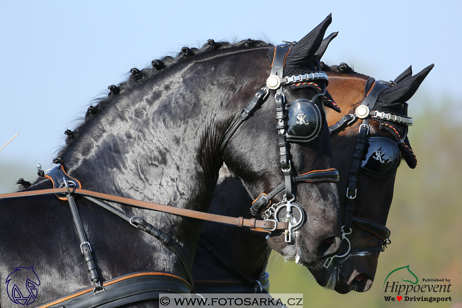 Kladruby 2018 - drezury čtvrtek