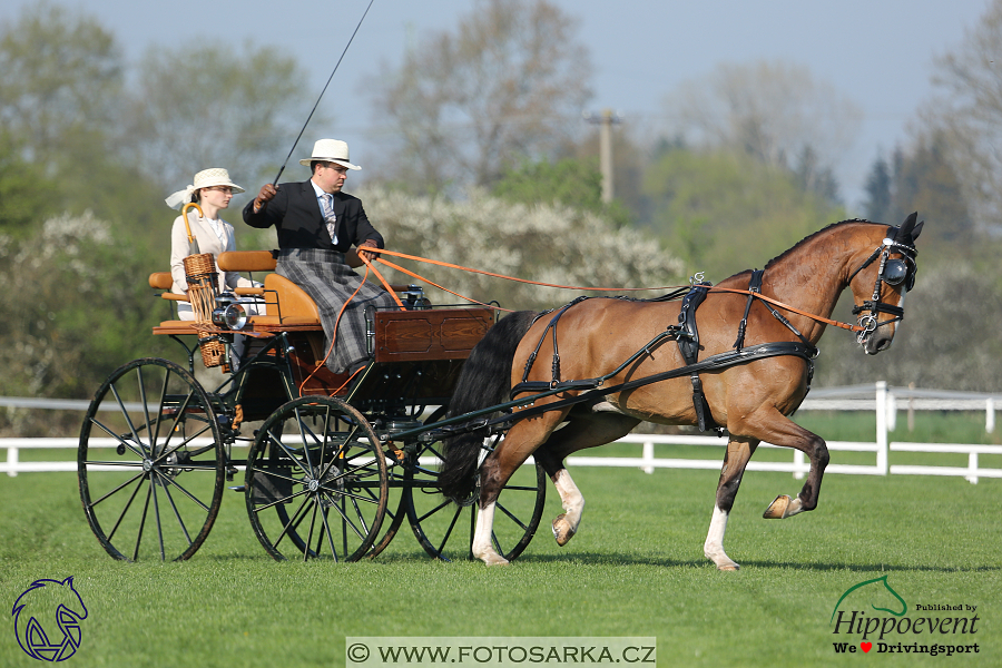 Kladruby 2018 - drezury čtvrtek