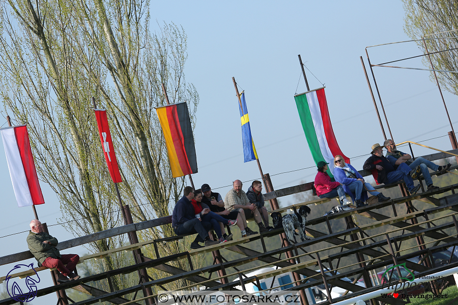 Kladruby 2018 - drezury čtvrtek