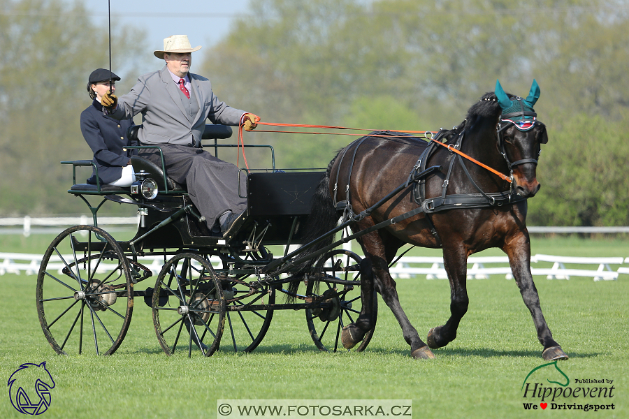 Kladruby 2018 - drezury čtvrtek